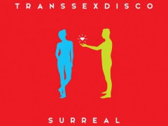 Nowy krążek Transsexdisco